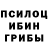 Псилоцибиновые грибы прущие грибы CullTheLivingFlower