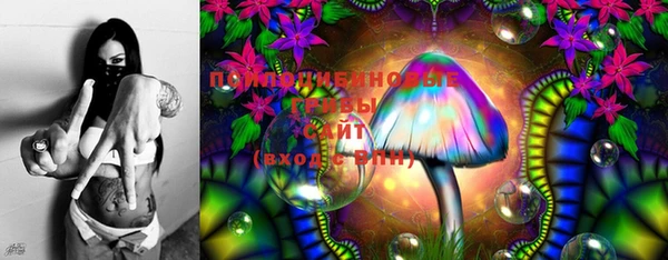 ECSTASY Алексин