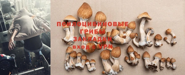 соль курить ск Алзамай